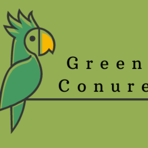 green conure